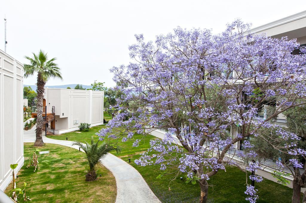 Aurum Didyma Spa & Beach Resort 阿库布克 外观 照片